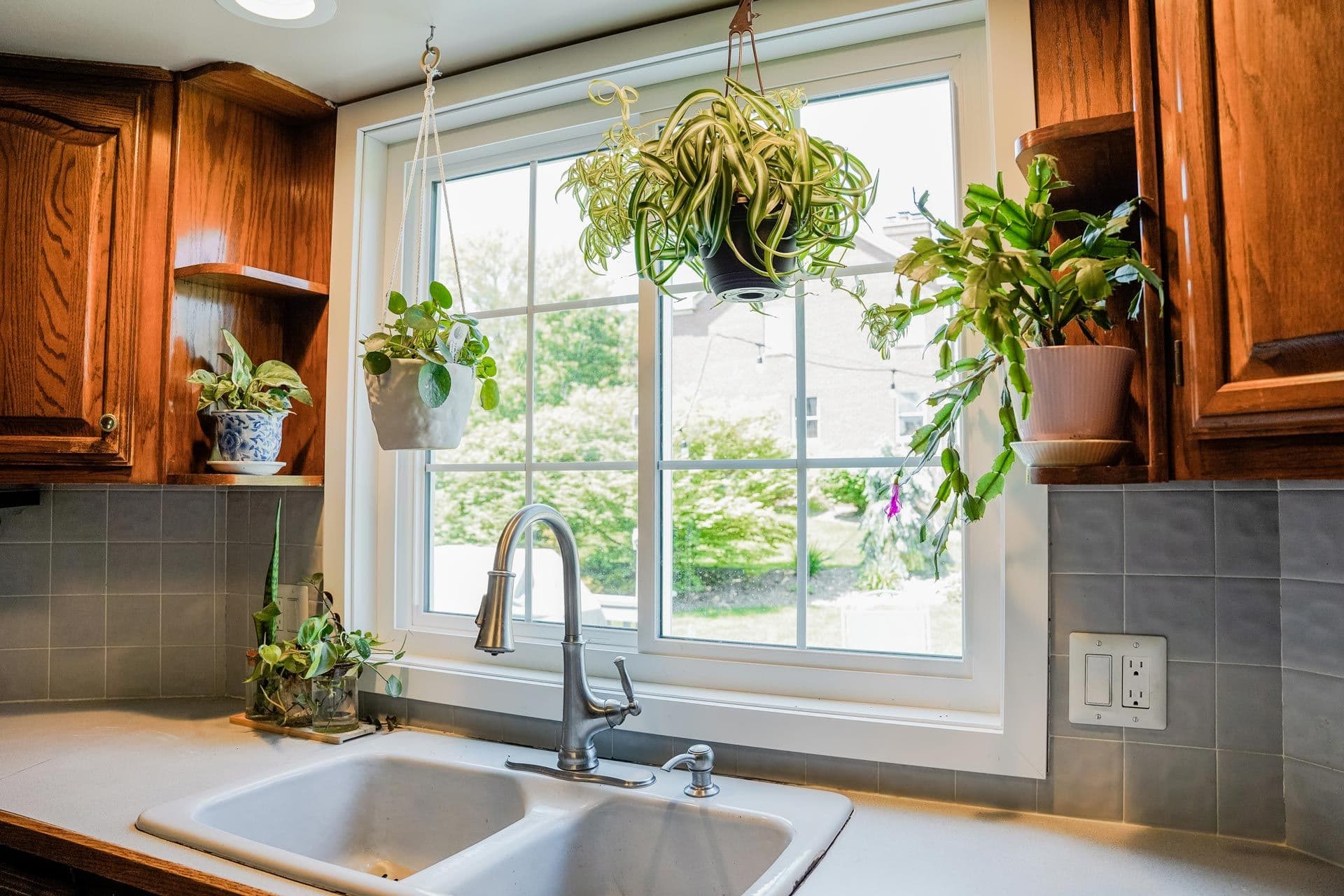 Kitchen sink with dark faucet below a window, flanked by hanging potted plants with trailing vines and wood cabinetry on either side